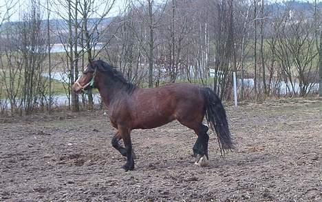 Dales Nevada - Godt med lidt motion på en forårsdag billede 6