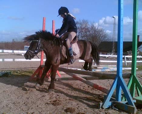 Anden særlig race Kalle billede 17