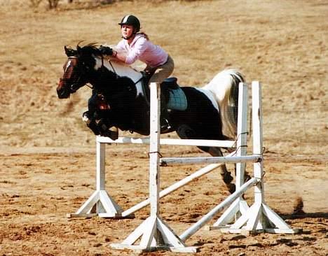 Pinto Araber El Hakim <3 - Nede på ridebanen marts 06 :)  billede 1