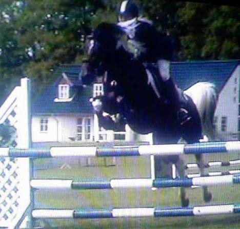 Pinto Araber El Hakim <3 - Kimmie & Jeg på mors 06 . x] billede 2