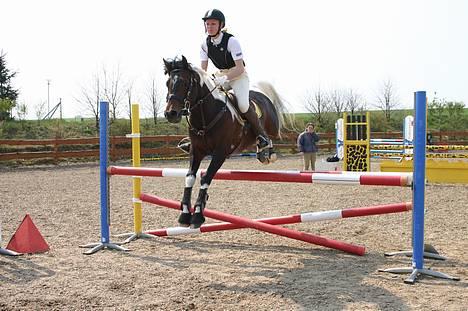 Pinto Araber El Hakim <3 - LA Hyor maj 06 - Taget af Lena trab (:  billede 4