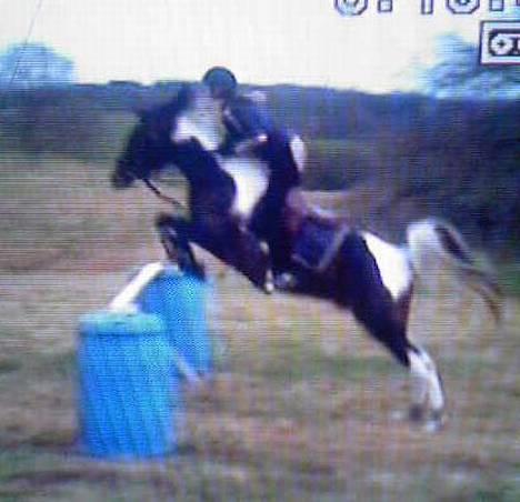 Pinto Araber El Hakim <3 - Kimmie&jeg på mors 06 . billede 6