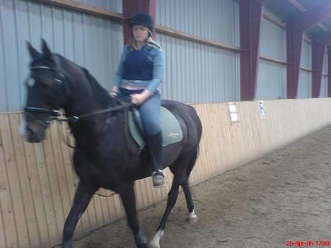 Oldenborg Cia Celina - Fuld figur, lige efter env springtime :P  billede 6