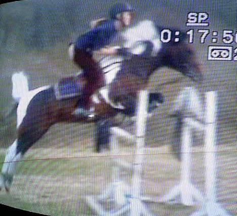 Pinto Araber El Hakim <3 - Taget d. 20 april 06 . Kimmie&jeg - okser 125 cm ( : Dårlig kvalitet pga. fra video med mob .  billede 9