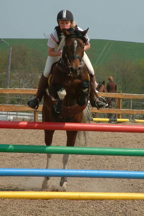 Pinto Araber El Hakim <3 - Kimmie&Jeg i vores første LA 7 maj i hyor :)  billede 15