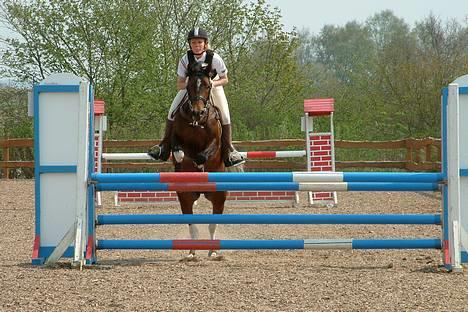 Pinto Araber El Hakim <3 - Kimmie&Jeg i vores første LA :) 7 maj i hyor ..  billede 18