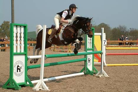 Pinto Araber El Hakim <3 - Kimmie&Jeg i vores første LA hyor 7 maj 06 :) billede 19