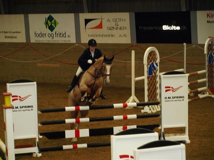 Dansk Varmblod Grusgårds Minell - C-stævne i Fredericia LB billede 8