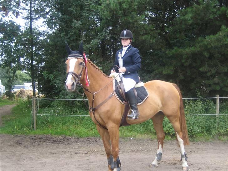 Dansk Varmblod Grusgårds Minell - Klubmester i Bramming 2006 i springning billede 12