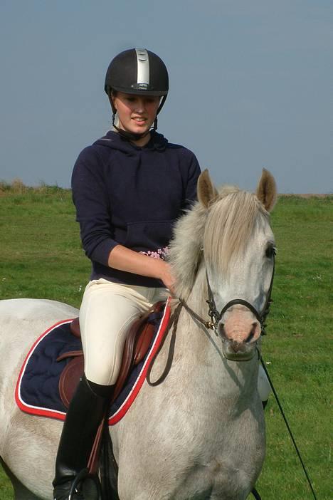 Tysk Sportspony Shadow 79 {Solgt}  - Sidste tur på ham d. 16 sep 06 , stort savn ! )´:  billede 1