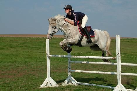 Tysk Sportspony Shadow 79 {Solgt}  - Sidste tur på ham igen . d 16 sep 06 .  billede 2