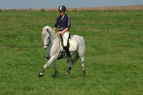 Tysk Sportspony Shadow 79 {Solgt}  - Shadow&Jeg sidste tur sammen <3 billede 5