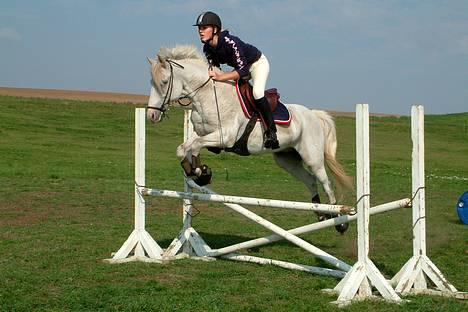 Tysk Sportspony Shadow 79 {Solgt}  - Shadow&jeg springer sidste gang sammen <3 billede 12