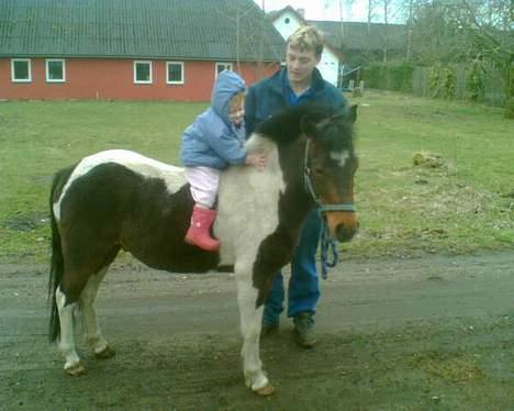 Anden særlig race Felix - her sider min lille ejer på mig... hun er 2 år og hedder jasmin billede 7