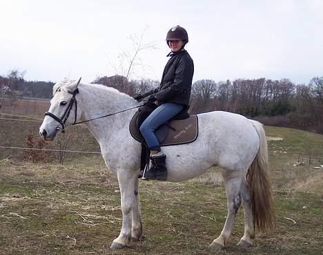 Connemara Skousboe Amazing Grace +  - Ja det er så mig og tykke Grace tøs der får lidt vind i håret   ;-) billede 3