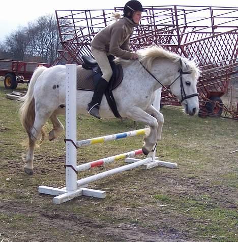 Connemara Skousboe Amazing Grace +  - Lige et lidt sjovt afsæt hi hi :-) 45 cm billede 4