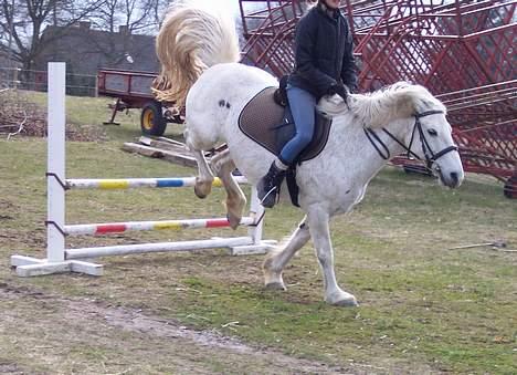 Connemara Skousboe Amazing Grace +  - Så blev det min tur, her lander vi lige efter et 50 cm(er), ja jeg fik lige "hugget" hovedt af  billede 8