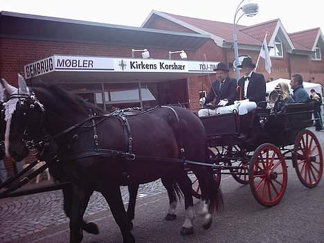 Oldenborg lasse  `` R.I.P `` - her arbejder vi igen bare i skærbæk billede 3