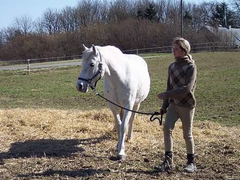 Connemara Skousboe Amazing Grace +  - "ja... ud og ride. hi hi og det ser ud til at det bliver Pernille i dag, nå okay det er da fint" billede 12