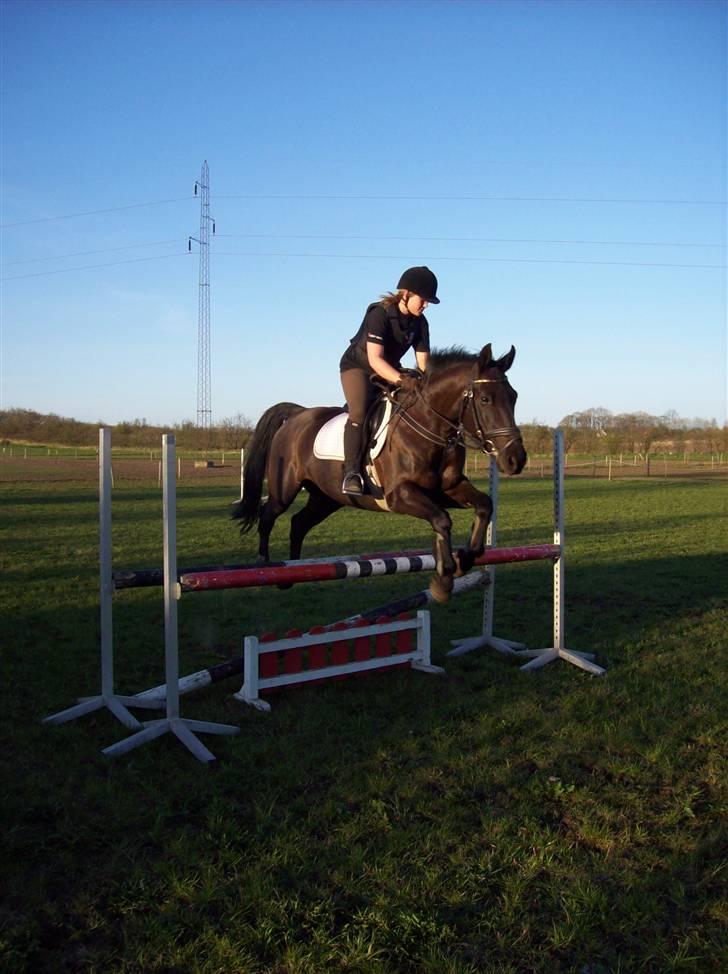 Anden særlig race Phyrus - Phyrus og Amanda i god stil:) billede 1