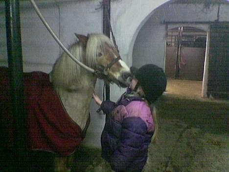 Anden særlig race Bobby Hill - MYYYS!!!! billede 16