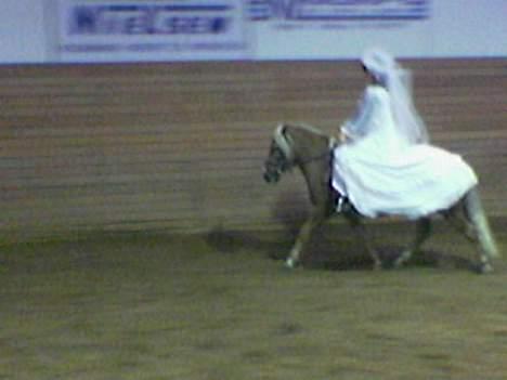 Anden særlig race Bobby Hill - Er de ikke yndige billede 17