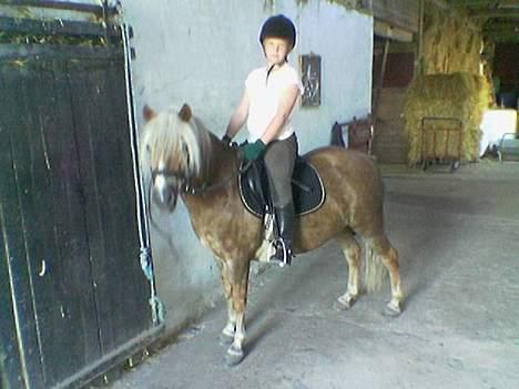 Anden særlig race Bobby Hill billede 18