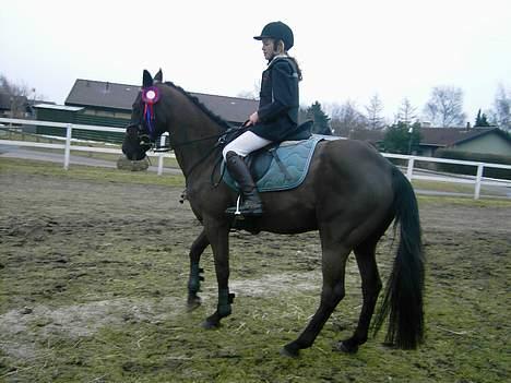 Anden særlig race  Jasmin   - her er vi til stævne på BNR og har lige været inde og ride   (foto :camilla) billede 3