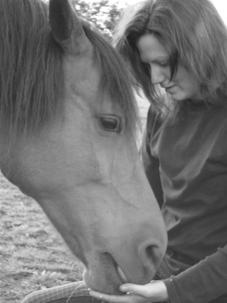 Sportsaraber (A) Paw - Stjernen der for altid vil lyse mit hjerte op :-) billede 20