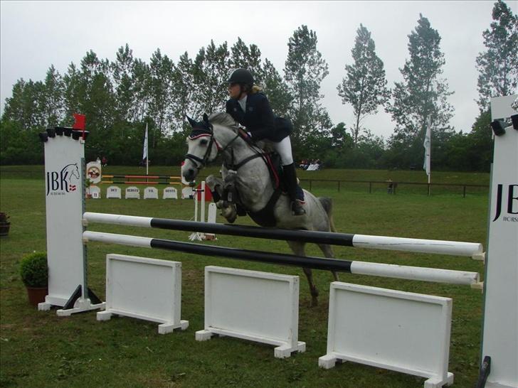 Anden særlig race Mirco(solgt) - 5) Mirco til Balticcup 2007 i Ikast. billede 5