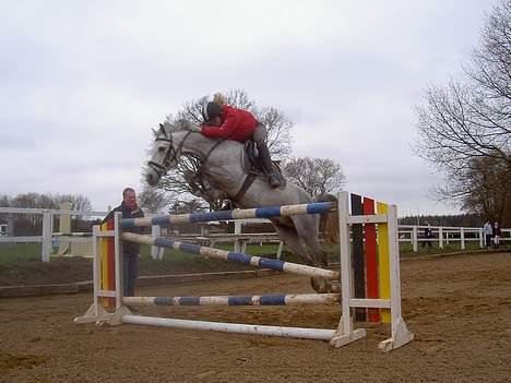 Anden særlig race Mirco(solgt) - 7) dagen efter jeg fik ham d. 22/4-06 billede 7