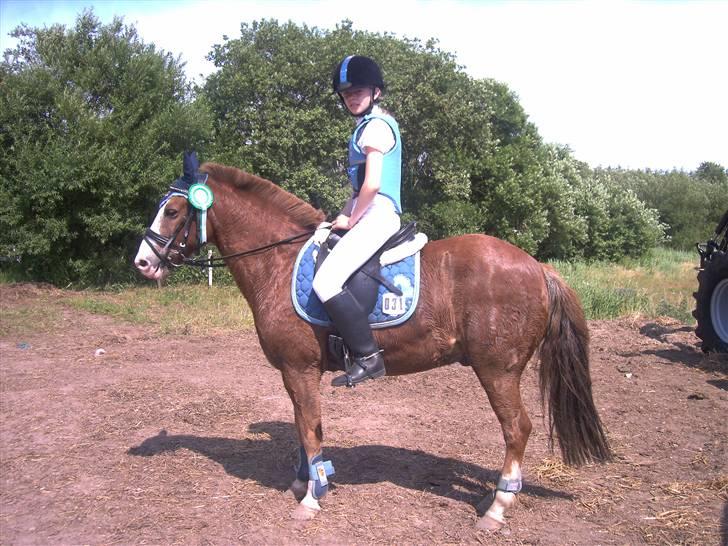 Anden særlig race Jack - 3. Plads :D LC LERK billede 9