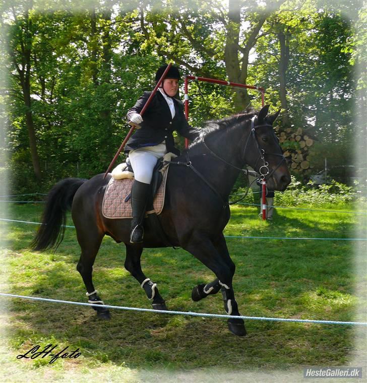 Oldenborg Grock Birkehøj *Solgt* billede 13