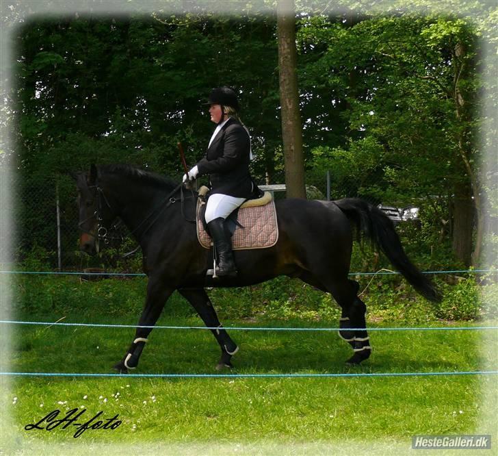 Oldenborg Grock Birkehøj *Solgt* billede 15