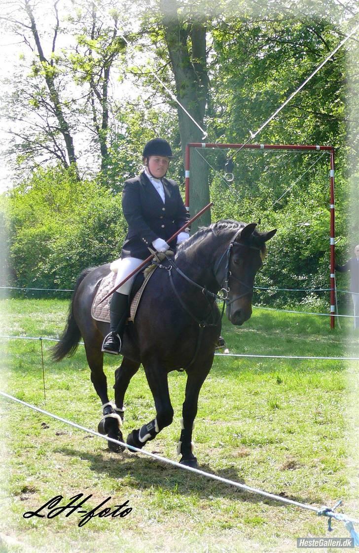 Oldenborg Grock Birkehøj *Solgt* billede 16