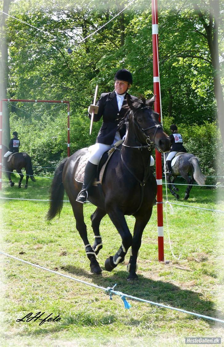 Oldenborg Grock Birkehøj *Solgt* billede 17