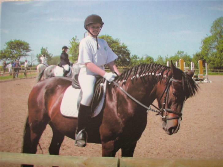 Connemara Hovfelds Cover Girl - til vores andet stævne tror jeg billede 14