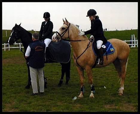Anden særlig race Valdemar af Lillevang - Valde og mig til Melfar cuppen 03´ - ULD Met. S2 (Stilspring) 6,50 point. 3.plads Foto: Arno-MSRK billede 2