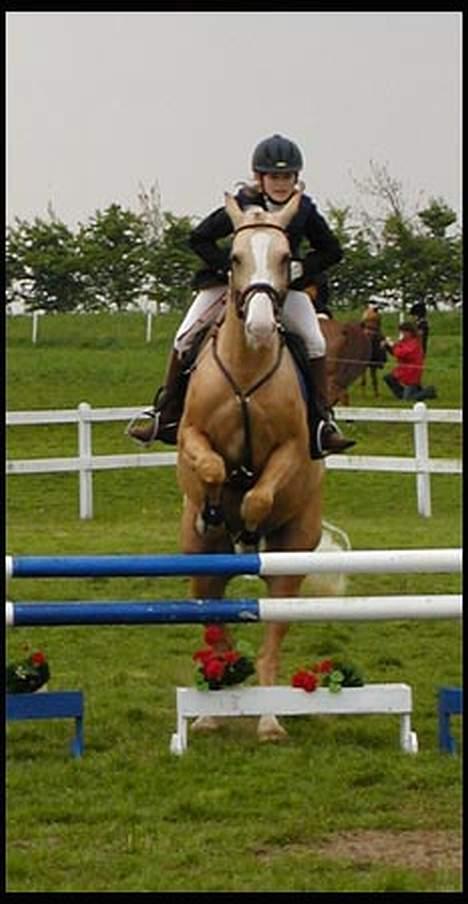 Anden særlig race Valdemar af Lillevang - Valde og mig til Melfar cuppen 03´ Foto: Arno-MSRK billede 3