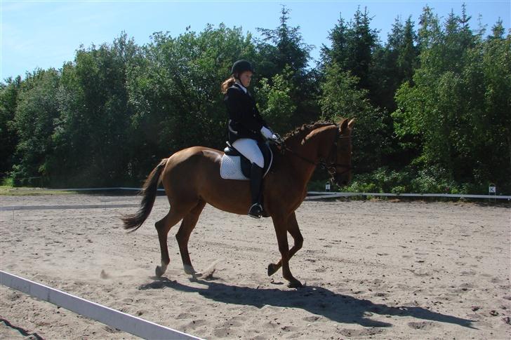 DSP Englykkes Ginger - Dressur i Hyllebjerg :b hun var lidt vild d;  billede 8