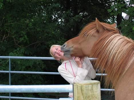Islænder Óðinn fra Toves Mark - Ægte kærlighed ! Elsker dig <3[Taget af Kristiane] billede 4