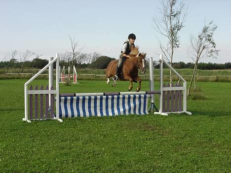 Anden særlig race Buster (Solgt) - Spring...!! :) billede 16