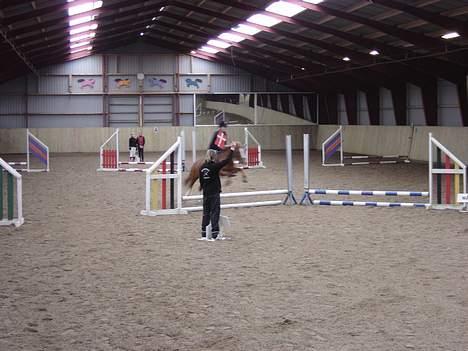 Anden særlig race Buster (Solgt) - årh så lige det sidste spring..! billede 18