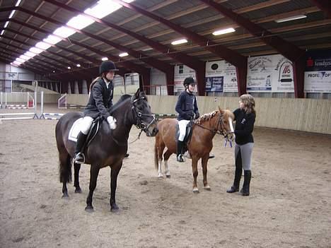 Anden særlig race Buster (Solgt) - Jubii vi vandt..!!! billede 19