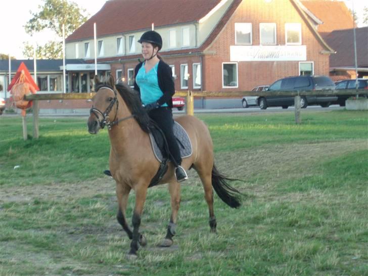 Anden særlig race Frydenhøjs Freja - sommers 2008 - hyggestund ved vandet billede 17