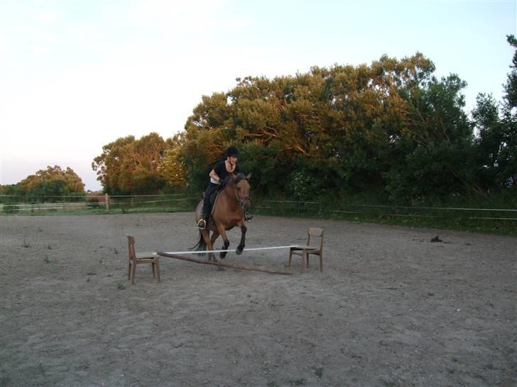 Anden særlig race Frydenhøjs Freja - "JAAAAAAH!" 17 maj 06 billede 18