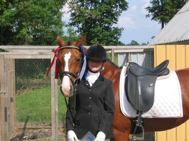 New Forest Miss Potter <3 - Potter, min evige vinder. Fotograf: Nils Dragsted billede 9