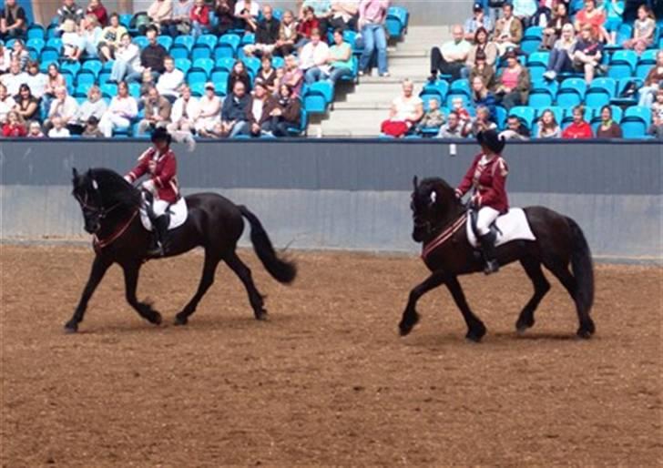 Frieser "ZILAS"   - Friesershow på Vilhelmsborg, mig og Zilas længst til højre.. billede 4