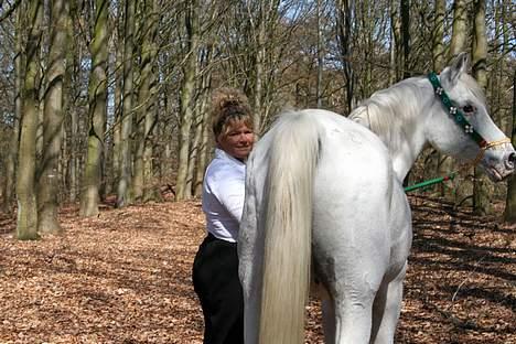 Arabisk fuldblod (OX) Basta R.I.P. blev 27½ år - Marianne & Basta, på Bastas 26 års fødselsdag billede 12