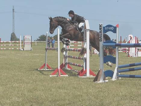 Hannoveraner Durango 14 <3 SOLGT - Fynsmesterskab, første spring (: billede 17